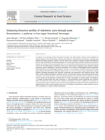 Enhancing bioactive profiles of elderberry juice through yeast fermentation: a pathway to low-sugar functional beverages