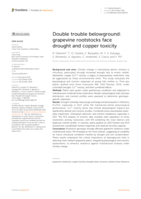 Double trouble belowground: grapevine rootstocks face drought and copper toxicity