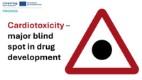 A Human-Relevant Preclinical Experimental Pipeline for Cardiotoxicity Risk Assessment in Drug Discovery