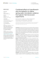 Combined effects of ciprofloxacin and microplastics on alpine spring water microbiota: evidence from glacier-fed microcosm experiments