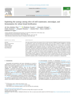 Exploiting the synergy among olive oil mill wastewater, microalgae, and fermentation for wheat bread fortification