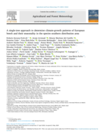 A single-tree approach to determine climate-growth patterns of European beech and their seasonality in the species southern distribution area