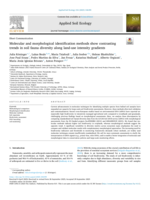Molecular and morphological identification methods show contrasting trends in soil fauna diversity along land-use intensity gradients