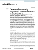 Five years of oxen grazing enhances soil carbon and structure in alpine vineyards