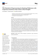 The Potential of Deep Learning for Studying Wilderness with Copernicus Sentinel-2 Data: Some Critical Insights