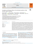 Cryosphere and lithology influence the hydrological gradients of high elevation Alpine catchments