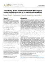 Alleviating Water Stress at Veraison May Trigger Berry Shrivel Disorder in Susceptible Grapevines