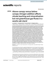 Above-canopy versus below-canopy nitrogen addition affects nitrate leaching and mineralization but not greenhouse gas fluxes in a sessile oak stand