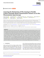 Assessing the Mechanism of NH3 Sensing in Flexible Carbon‐Nanotube‐Based Chemoresistive Sensors via In Situ Photoemission Spectroscopy