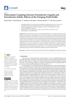 Polarization Coupling between Ferroelectric Liquids and Ferroelectric Solids: Effects of the Fringing Field Profile