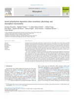 Aerial Polyethylene Deposition Alters Strawberry Physiology and Rhizosphere Functionality