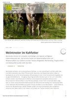 Weintrester im Kuhfutter