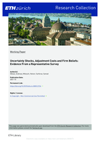 Uncertainty Shocks, Adjustment Costs and Firm Beliefs: Evidence From a Representative Survey