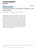 Quantifying efficient information exchange in real network flows