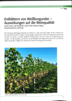 Entblätterung von Weissburgunder -Auswirkung auf die Weinqualität