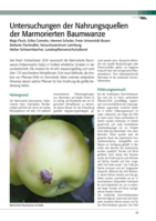 Untersuchungen der Nahrungsquellen  der Marmorierten Baumwanze