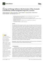 Drying and Storage Influence the Formation of Key Aromatic Constituents in Blue Fenugreek (Trigonella caerulea)