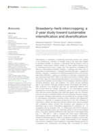 Strawberry-herb intercropping: a 2-year study toward sustainable intensification and diversification