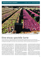 Eine etwas spezielle Sorte