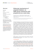 Molecular mechanisms of amyloid inhibition: an NMR_driven framework with polyphenols as a case study