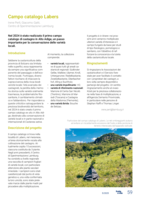 Campo catalogo Labers