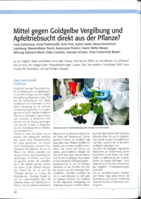 Mittel gegen Goldgelbe Vergilbung und Apfeltriebsucht direkt aus der Pflanze?