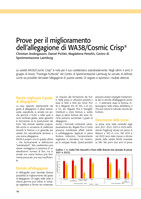 Prove per il miglioramento dell’allegagione di WA38/Cosmic Crisp®