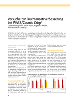 Versuche zur Fruchtansatzverbesserung bei WA38/Cosmic Crisp®