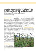 Wie sehr beeinflusst die Fruchtgröße die Ausdünnungswirkung von Metamitron?