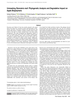Unmasking Ramularia mali: Phylogenetic Analysis and Degradative Impact on Apple Biopolymers