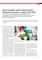 Nuovi possibili rimedi naturali contro flavescenza dorata e scopazzi del melo?
