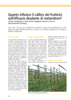 Quanto influisce il calibro dei frutticini sull’efficacia diradante di metamitron?