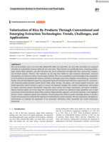 Valorization of Rice By-Products Through Conventional and Emerging Extraction Technologies: Trends, Challenges, and Applications