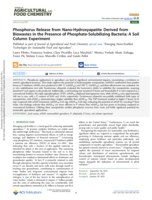Phosphorus Release from Nano-Hydroxyapatite Derived from Biowastes in the Presence of Phosphate-Solubilizing Bacteria: A Soil Column Experiment