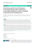 Evolutionary genomics and divergence of Cacopsylla species with a special focus on the apple proliferation vectors Cacopsylla melanoneura and Cacopsylla picta
