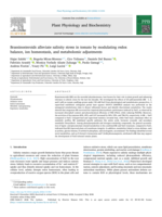 Brassinosteroids alleviate salinity stress in tomato by modulating redox balance, ion homeostasis, and metabolomic adjustments