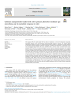 Chitosan nanoparticles loaded with olive pomace phenolics modulate gut microbiota and its metabolic response in vitro