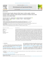 Growing season length enhances black spruce carbon uptake, whereas summer aridity constrains xylem biomass investment: Evidence from wood anatomy and carbon fluxes