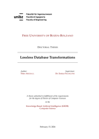 Lossless Database Transformations