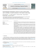 Scale-dependent hydrological controls on storm runoff volume and its turbidity in nested catchments of the Eastern Italian Alps