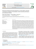 Engineering thiolated food-grade biopolymers as redox-adaptive materials: A systematic investigation of mechanisms, techno-functional performance, and translational frontiers
