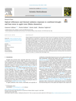 Optical reflectance and thermal radiation responses to combined drought and heat stress in apple trees (Malus domestica)