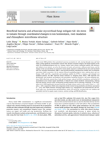 Beneficial bacteria and arbuscular mycorrhizal fungi mitigate Cd+Zn stress in tomato through coordinated changes in ion homeostasis, root exudation and rhizosphere microbiome structure