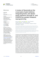 A review of flavonoids at the crossroads of plant defense: integrating biotic and abiotic stress tolerance through AI- and CRISPR/Cas-guided metabolic reprogramming