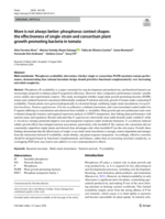 More is not always better: Phosphorus context shapes the effectiveness of single-strain and consortium plant growth-promoting bacteria in tomato
