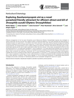 Exploring Saccharomycopsis vini as a novel parasitoid-friendly attractant for efficient attract-and-kill of Drosophila suzukii (Diptera: Drosophilidae)