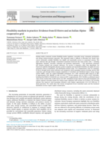 Flexibility markets in practice: Evidence from El Hierro and an Italian Alpine cooperative grid