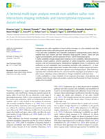 A factorial multi-layer analysis reveals non-additive sulfur-iron interactions shaping metabolic and transcriptional responses in durum wheat