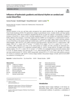 Influence of hydrostatic gradients and diurnal rhythm on cerebral and ocular blood flow