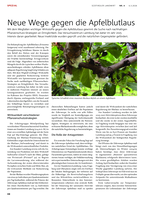 Neue Wege gegen die Apfelblutlaus